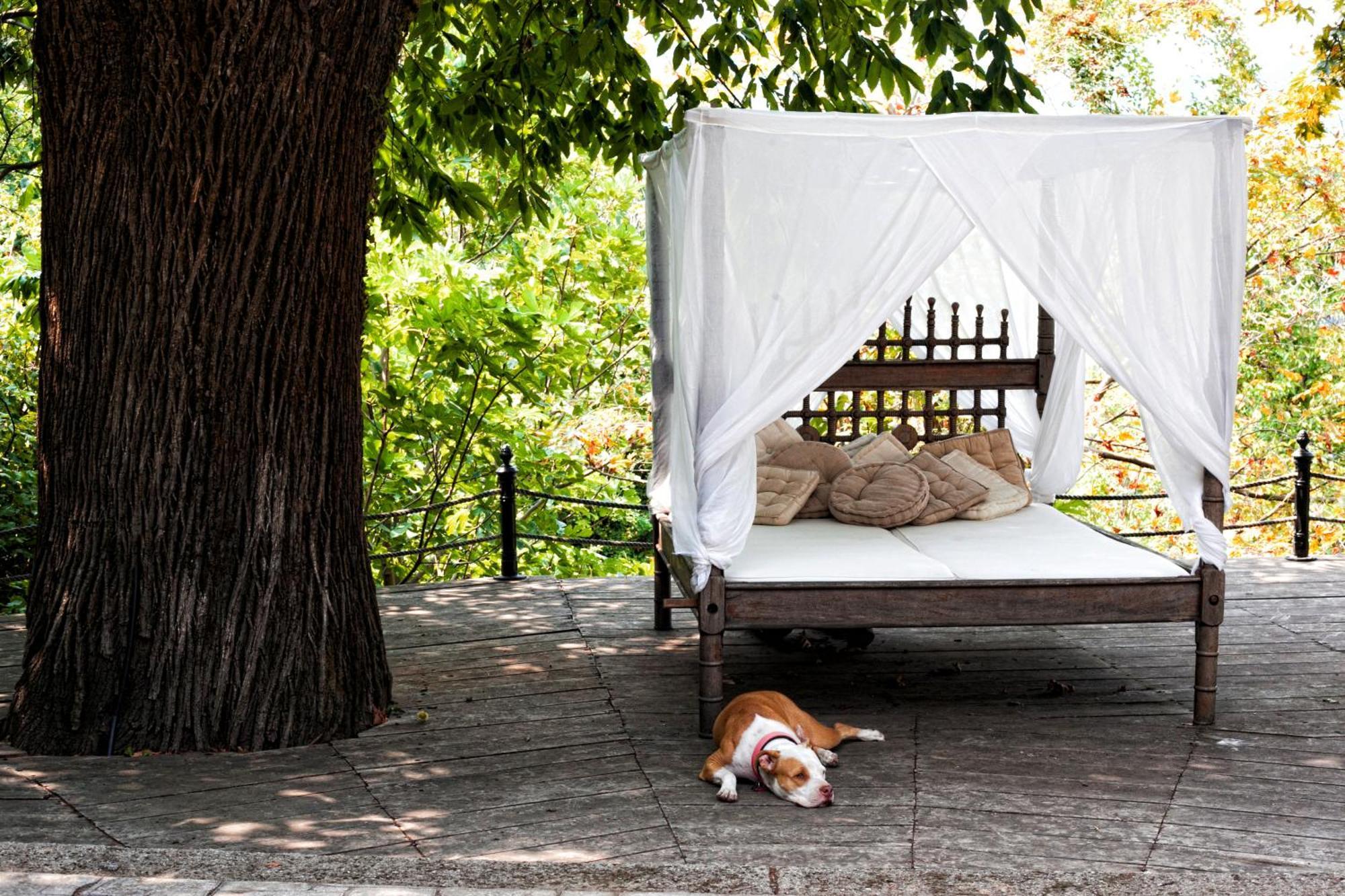 Chateau Cascara มูเรซิ ภายนอก รูปภาพ